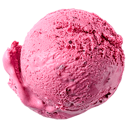 Schwarze Johannisbeere