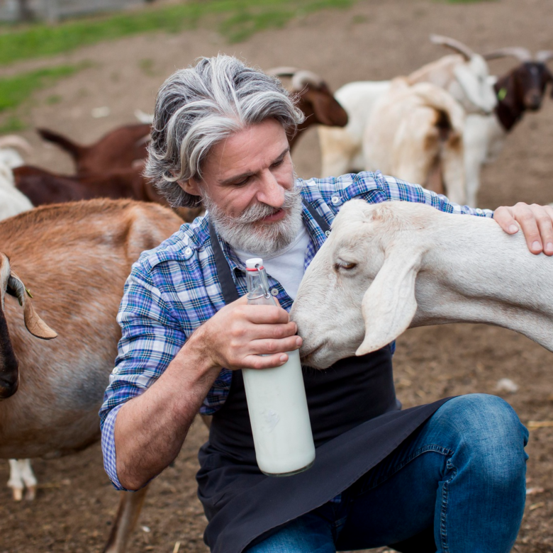 Thüringer Regionalität als Verkaufsargument: Von der Ziegenmilch bis zur Manufaktur